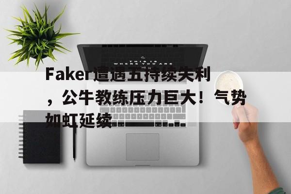 公牛队 视频   公牛队 视频