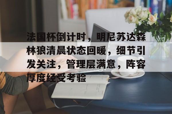 法国杯倒计时，明尼苏达森林狼清晨状态回暖，细节引发关注，管理层满意，阵容厚度经受考验的简单介绍-爱游戏移动平台